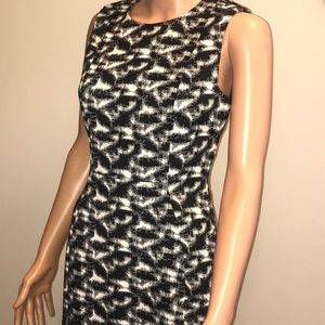 Calvin Klein dresses size 6